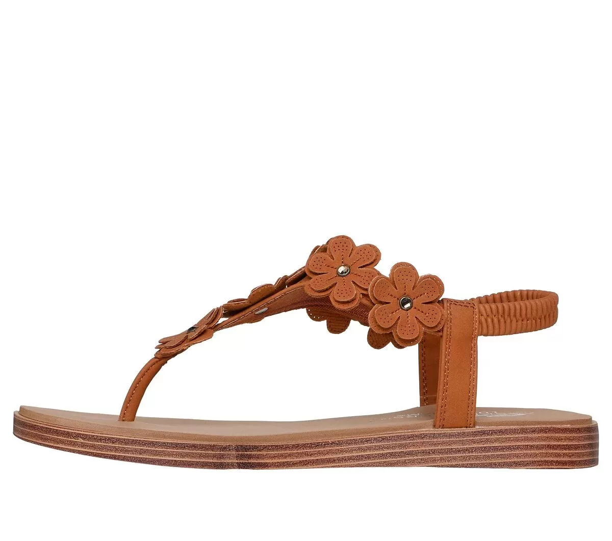 Cala de verano – Playa en flor Cala de verano – Playa en flor