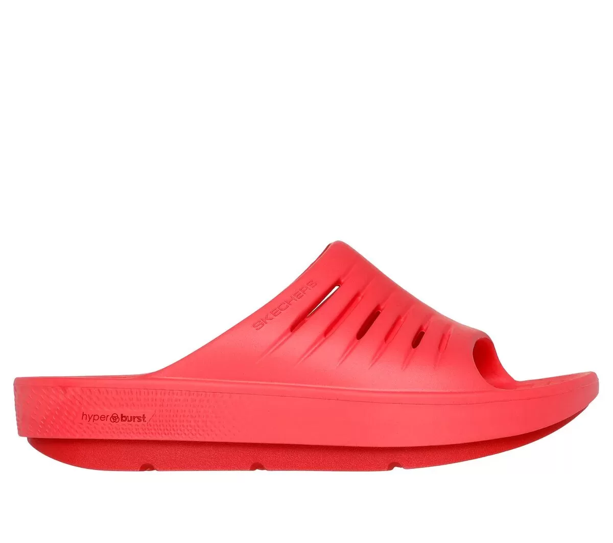 IR A RECUPERAR Actualizar