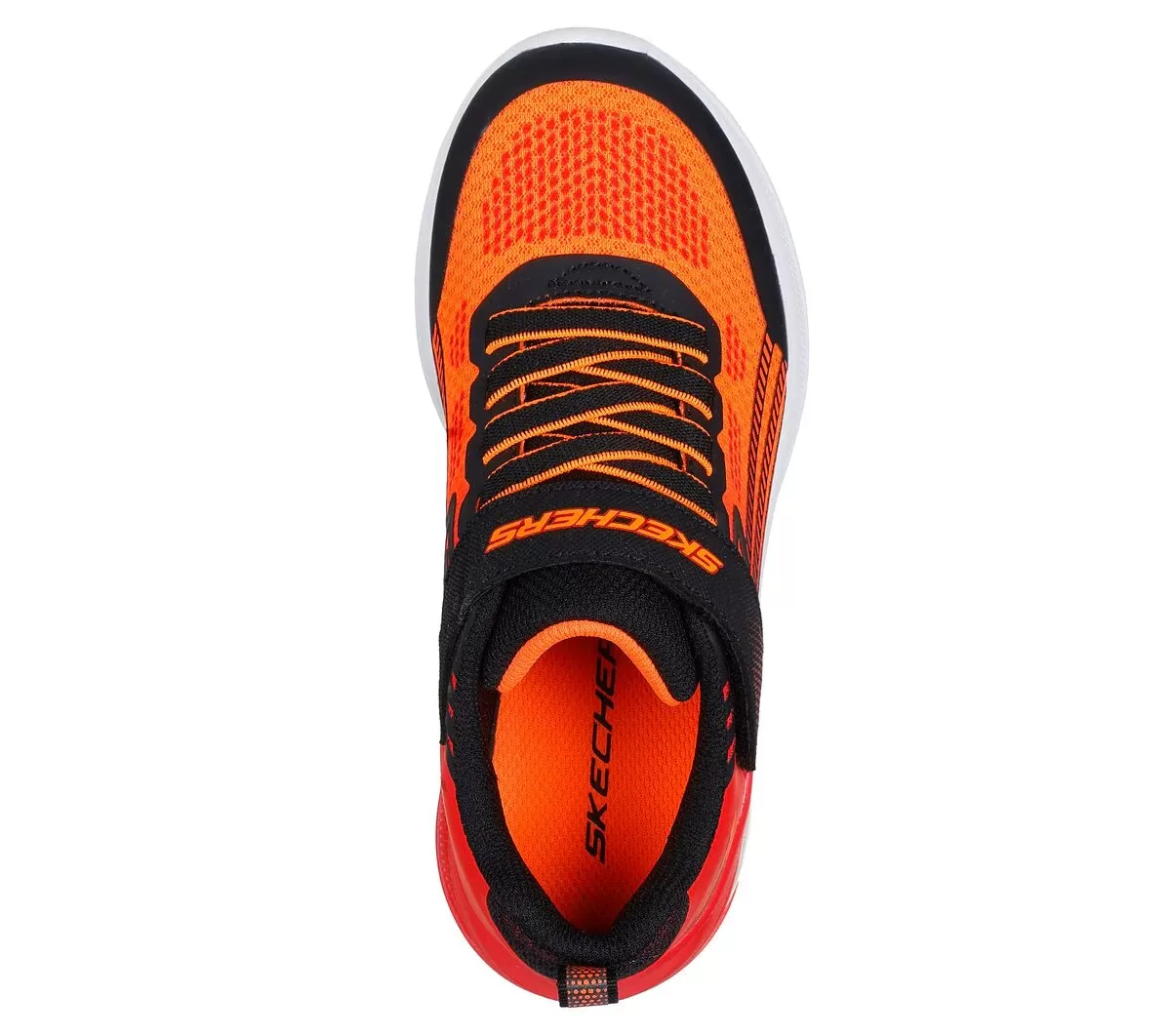 Microscopio Max Advance