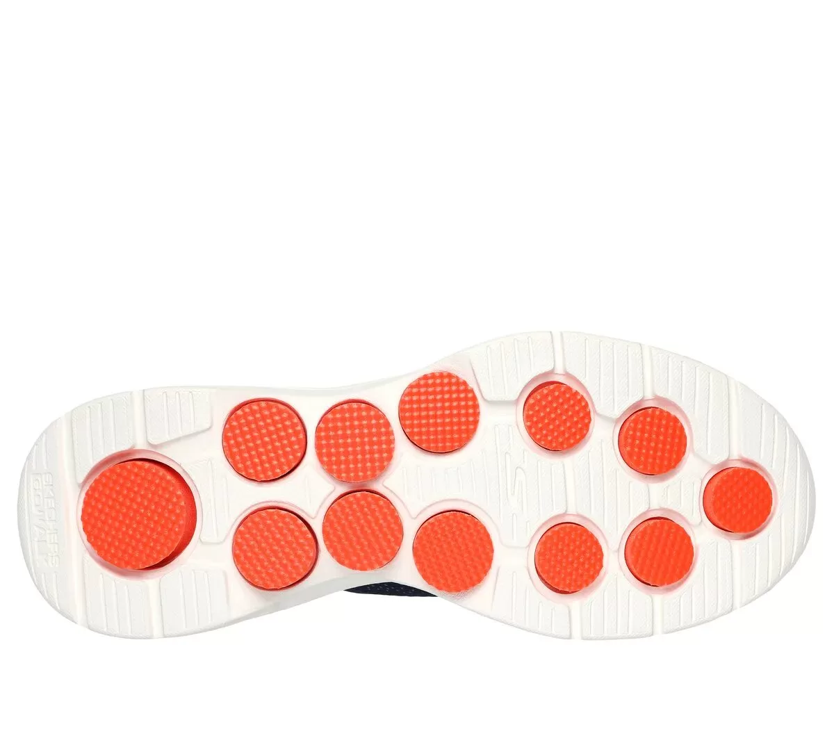 VAMOS A CAMINAR 7 VAMOS A CAMINAR 7