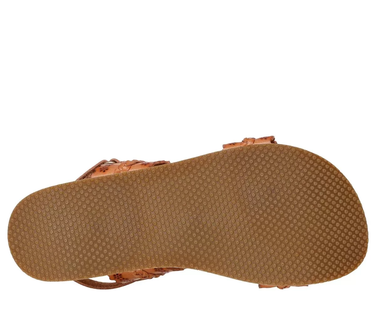 Veranos – Paseo costero Veranos – Paseo costero